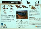 El Planerón   J.Hoogeveen