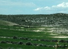El Planerón   J.Hoogeveen