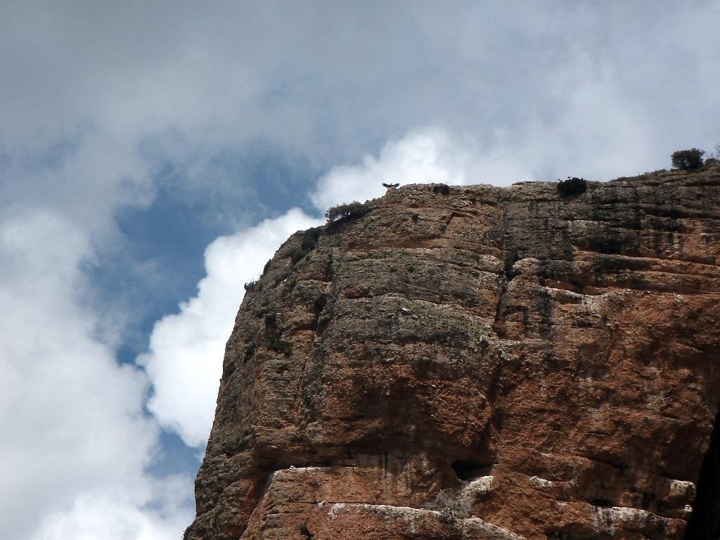 Riglos