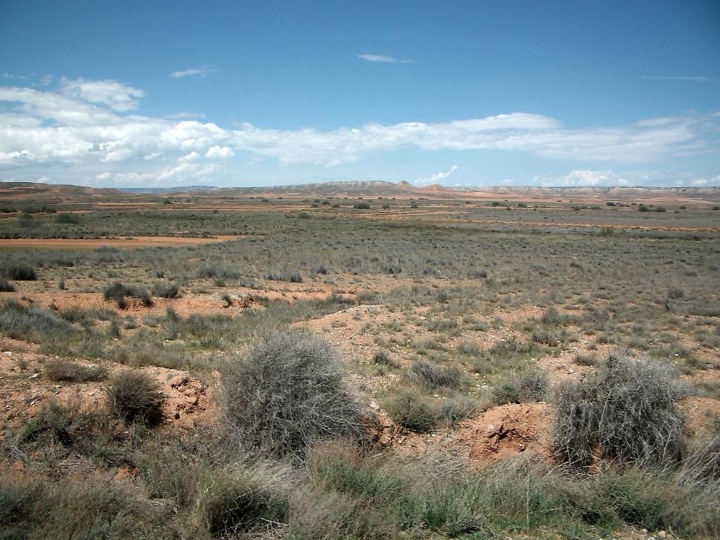El Palanerón