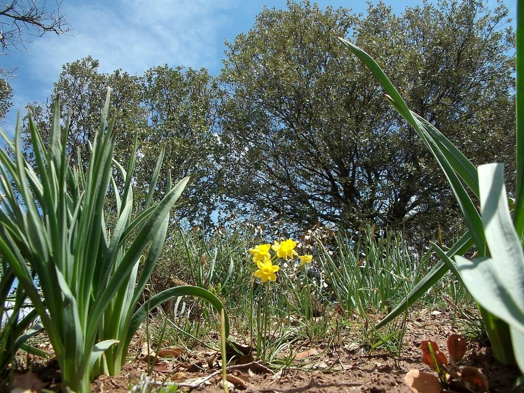 San Juan de la Peña y Monte Oroel