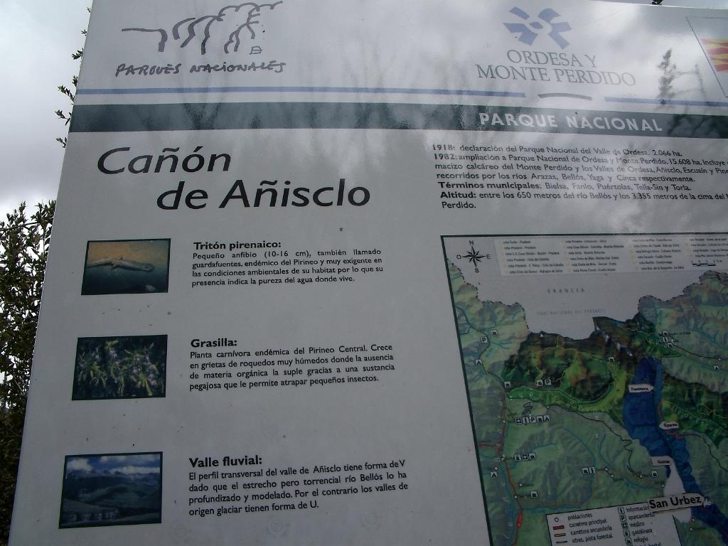 Añisclo