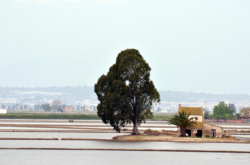 Parc Natural del Delta de l'Ebre