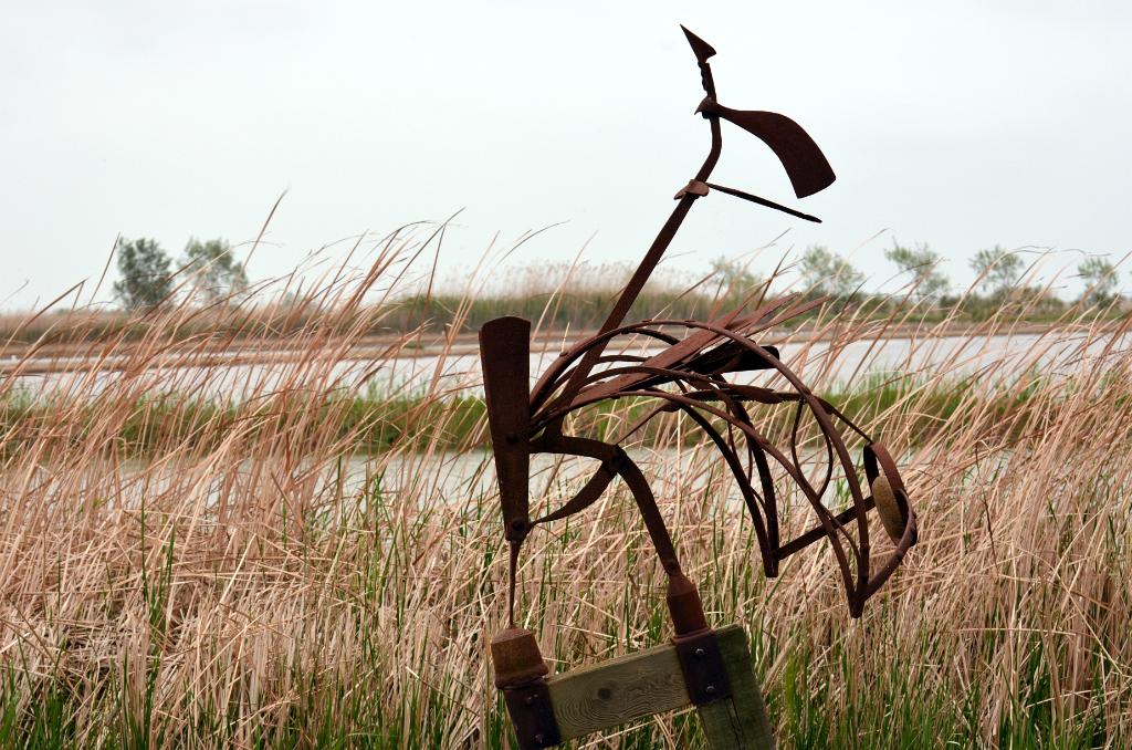 Parc Natural del Delta de l'Ebre
