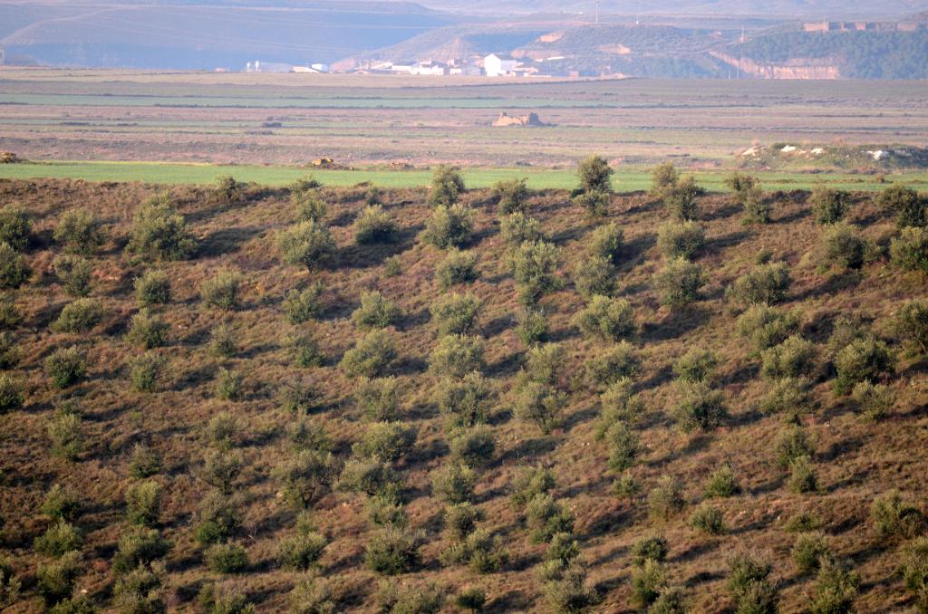 Alcolea de Cinca