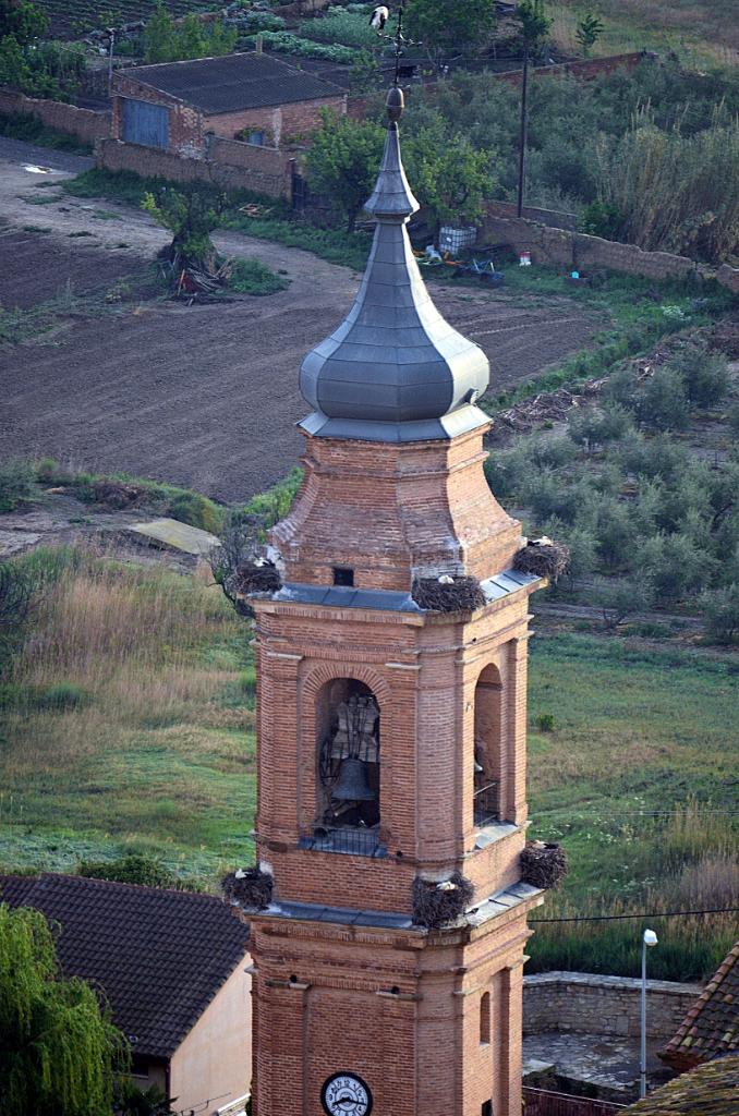 Alcolea de Cinca. Ooievaar
