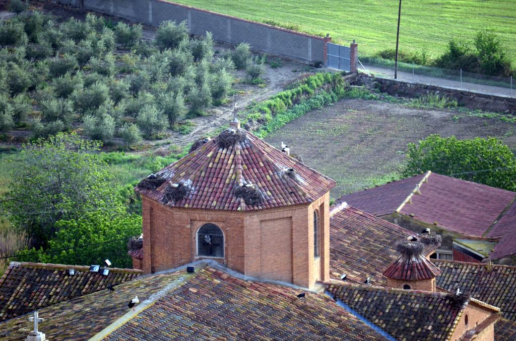 Alcolea de Cinca. Ooievaar