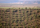 Alcolea de Cinca   P.Bernard