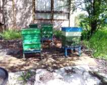 20140426_102749