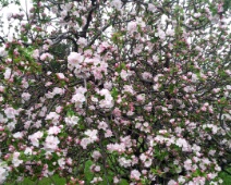 20140427_094122