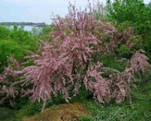 2014-04-28 07.33.25