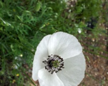 20140430_092727