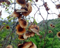 20140430_100150