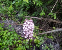 20140430_163754
