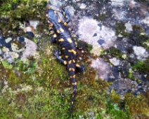 20140502_120935
