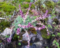 20140502_121150