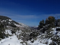 20180207 - 121900 - Yolanda Calandt