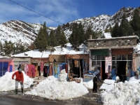 20180207 - 131328 - Taggart - Ans Joustra