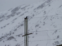 20180207 - 181350 - Rob Eveleens