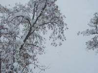20180208 - 131416 - Sneeuw - Ans Joustra