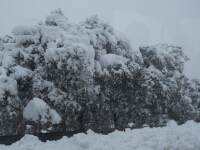 20180208 - 131642 - Sneeuw - Ans Joustra