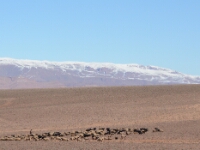 20180209 - 124824 - Ko Katsman