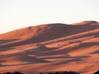 20180210 - 074800 - Merzouga - Ton Renniers