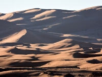 20180211 - 074500 - Merzouga - Ton Renniers