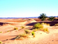 20180211 - 084115 - Fraai Saharalijnenspel tijdens Erg Chebbi - jeeptocht - Bert van Eijk