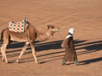 20180211 - 100300 - Merzouga - Ton Renniers