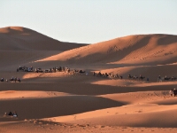 20180212 - 072100 - Merzouga - Ans Joustra