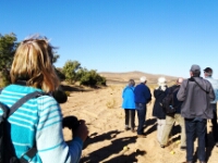 20180212 - 091944 - Onderweg naar Ouarzazate werden hier o.a. woestijnvinken + atlasgrasmus gespot - Bert van Eijk