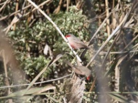 2019-10-05 11h13m01 - Portugal - Helenafazantje - JvK