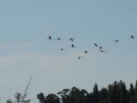 2019-10-05 12h27m16 - Portugal - EZ