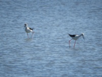 2019-10-06 12h18m33 - Portugal - LK