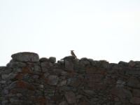 2019-10-08 08h30m52 - Portugal - Hop - JvK