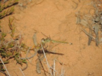 2019-10-10 10h07m21 - Portugal - EZ