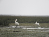 2019-10-11 09h59m19 - Portugal - LK