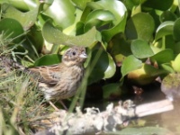 2019-10-12 13h33m13 - Portugal - JvK