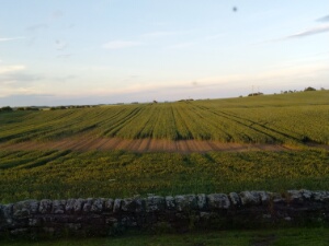 2024-06-19 - Engeland