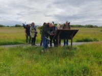 2024-06-20 16h19m41 Engeland - - Johan Meijer