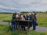 2024-06-20 16h19m53 Engeland - - Johan Meijer