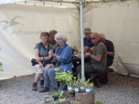 2024-06-24 11h31m06 Engeland - - Margot Klingers