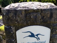 2024-06-24 12h11m53 Engeland - - Jikke Lont