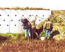 010300-Elfenbaan-Schonen-oeverzwaluwenwand - CoKe