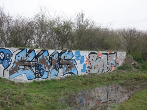 2011