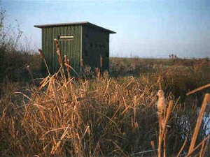 1995