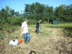 2006