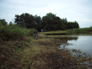 2007