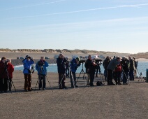 070203 Ganzenexcursie - Brouwersdam - Waarnemers